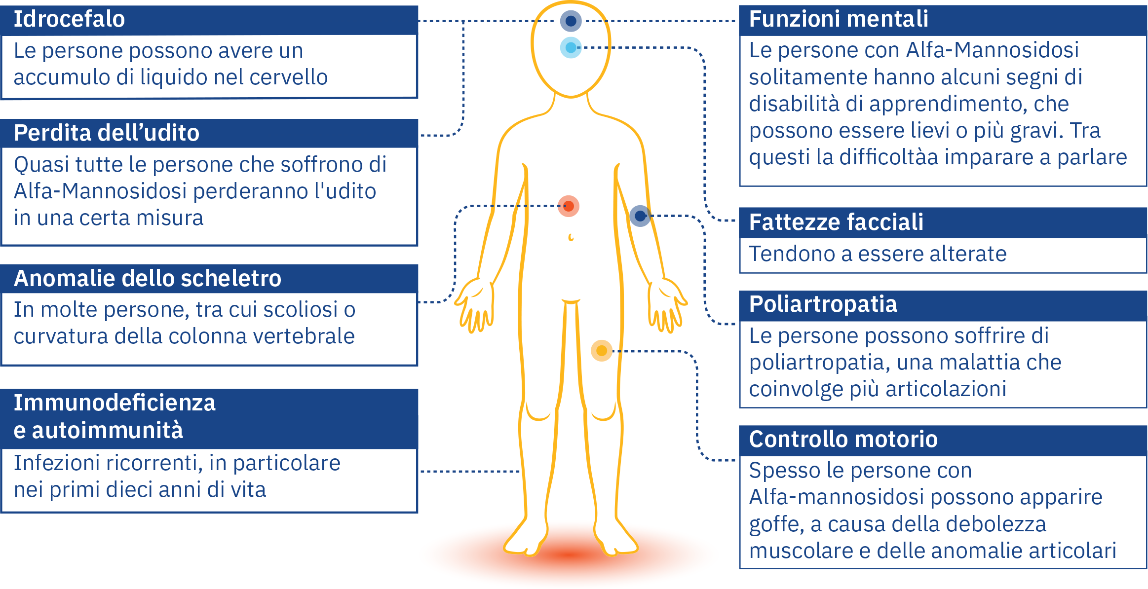 it-signs-of-alphamannosidosis